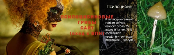 ешки Зерноград