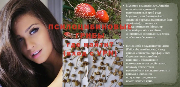 ешки Зерноград