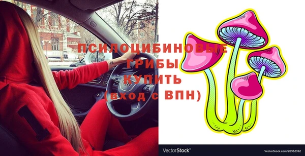 ешки Зерноград