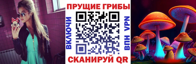 Галлюциногенные грибы Cubensis  Купить  Инза 